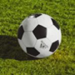 Group logo of Talent Development Troop