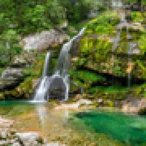 Group logo of Connoisseurs